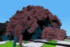 Replaced tree and leaves with wool using 3d flood fill tool
