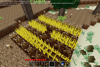 Wet mud farm