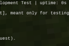 in-game chat