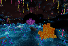 crystal forest under