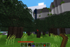 Starting out, using an adze.
