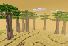 baobab savanna