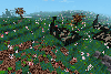 cursed lands