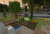 Fall