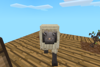 A sheep on the island