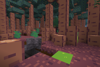 A jungle tree forest biome