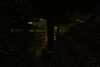 A very dark forest.