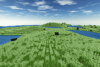 Prairie 1