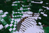 Winter Forest 1