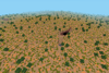 outback 2