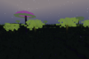 A landscape with special trees that only occur in a few planets