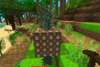 Pineapple Closeup