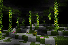 bamboo forest under