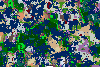 example random seed map