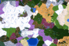 using the Everness biome mod