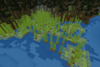 Rainforest
