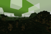 Jungle