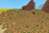 Outback 1