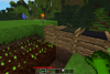 Garden soil with plant and composters.