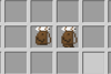 Packs