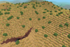 xeric shrubland #2