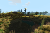 Pond