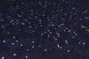 Sci-Fi Biome 2