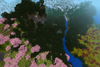 darkforest overhead shot