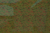 Toxic water2