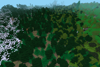 Overview - multiple forest biomes