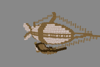 A blimp