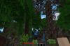 Swamp dying land 2