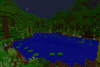 Pond