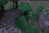spruce2