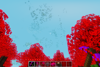 Tung biome and tools