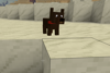 Dog from Mobs Andes