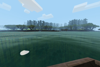 Shoreline