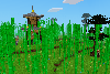 bamboo forest