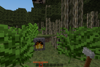 Jungle scene