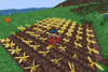Gold Farm