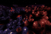 Warped and crimson forest