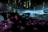 coral forest under