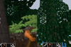 Shows pointing at a tree with an axe, and then pointing at tree leaves with a sword