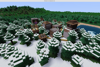 MCL Forest Village