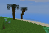 Palm Trees