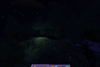 Age Of Mending trees are now cozier