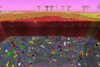 Mine landscape