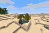 Desert Oasis