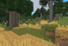 Humid Savanna