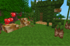 Bamboo Update